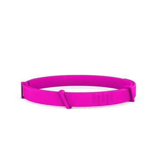 Pro Guard Flea and Tick Pet Collar