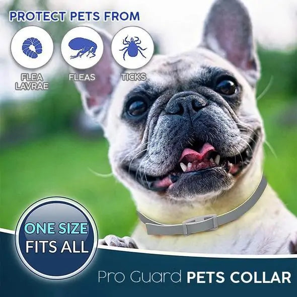 Pro Guard Flea and Tick Pet Collar